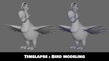 Timelapse : Bird modeling