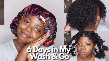 6 Days in My Wash N Go | Banding Method on Type 4 Hair