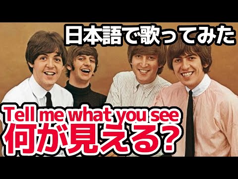 【ビートルズ】何が見える？（Tell me what you see）【日本語で歌ってみた】