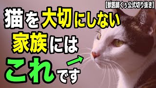 猫の飼育方針が合わない家族への対処法【獣医師くぅ公式切り抜き】 by くぅのキャットフード研究室 8,208 views 1 month ago 5 minutes, 51 seconds