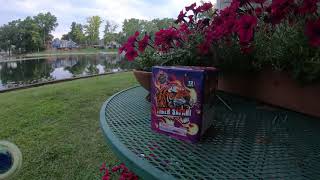 TIGER'S ROAR by Raging Bull Fireworks