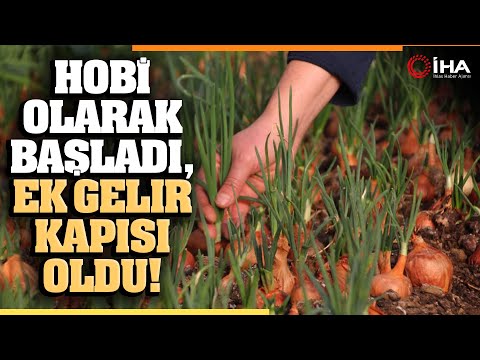 Emekli Olduktan Sonra Hobi Olarak Başladı, Ek Gelir Kapısı Oldu