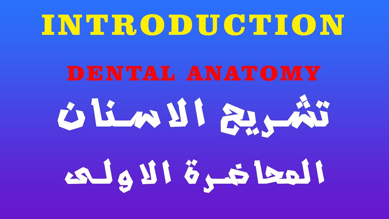 Dental Anatomy Introduction - تشريح الاسنان المحاضرة الاولى