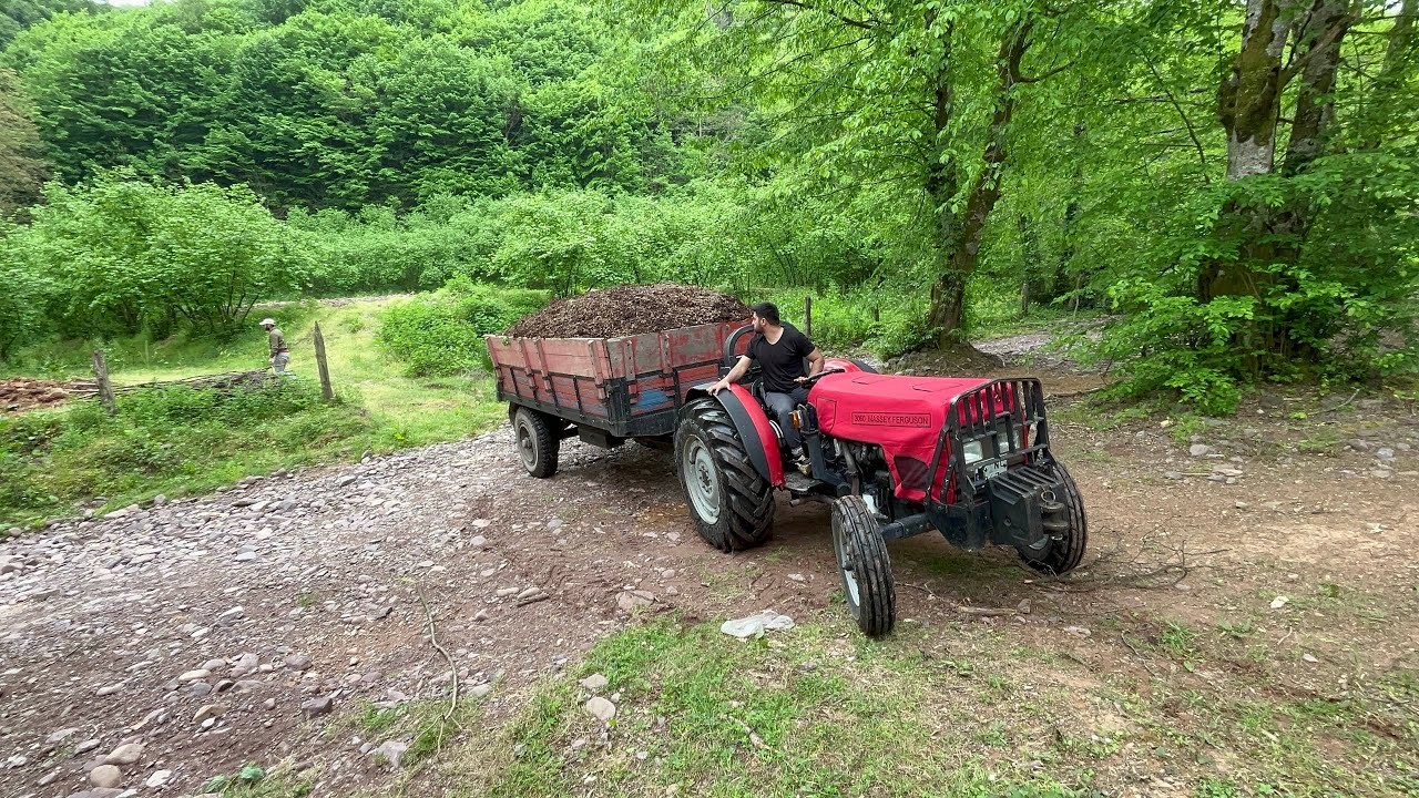 (Model 3060 Verdiği Güç 3.105) MF 3060 Rampa Güç Testi Kabuk Taşıma İşlemi Konuşan Paket