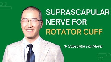 Rotator Cuff Nerves: A Brief Intro with Dr Poney Chiang