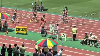 H27 関カレ 1部男子110mH 予選2組