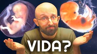 quando a VIDA COMEÇA no ÚTERO?