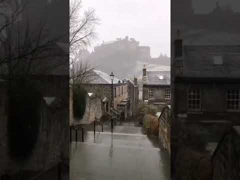 شفناك ميلنا لفيروز والطرب