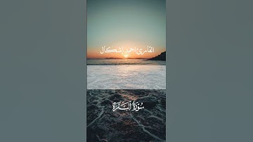 #القرآن_الكريم #القارئ_احمد_إشكال #قرآن #قران_كريم #طرابلس #funny #,#fyp