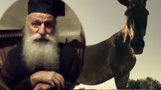 видео: ,,Който не обича, нищо няма да получи в живота. картинка: ,,Който не обича, нищо няма да получи в живота.