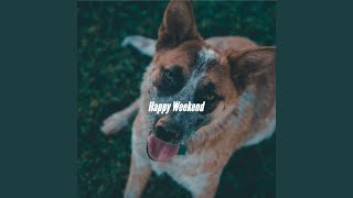 Spacious Moods for Throwback Fall