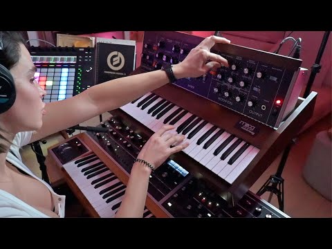 The Minimoog Model D (2022 Reissue) or Why I Suspect Someone at Moog Has Been Reading My Mind
