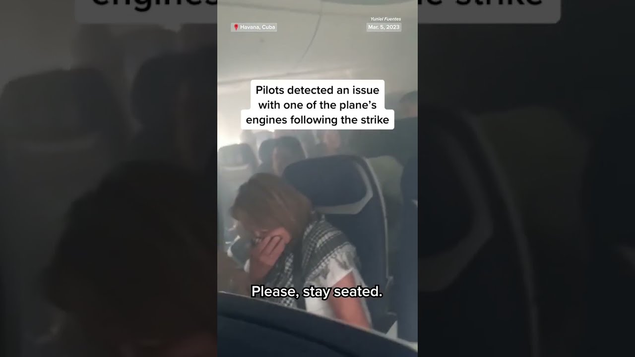  SouthwestAirlines Flight Makes Emergency Landing After Bird Strike