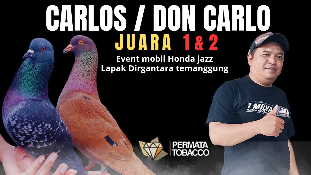 🔴 TEAM PERMATA FAMILY BORONG JUARA 1 DAN 2 ‼️EVENT MOBIL HONDA JAZZ LAPAK DIRGANTARA TEMANGGUNG