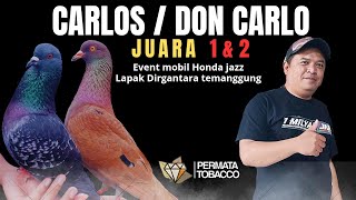 🔴 TEAM PERMATA FAMILY BORONG JUARA 1 DAN 2 ‼️EVENT MOBIL HONDA JAZZ LAPAK DIRGANTARA TEMANGGUNG