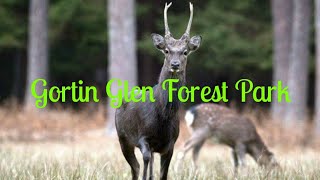 Gortin Glen Forest & Lakes County Tyrone