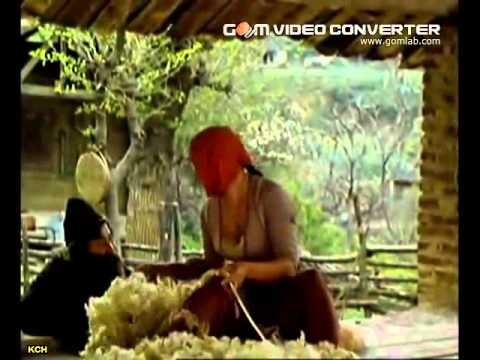 შუშაბანდის ვარდო