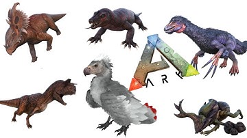 ARK Logic compilation