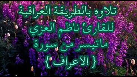 القارئ ناظم العزي…