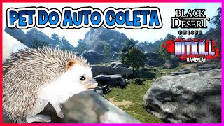 Black Desert - Como Pegar o Pet Porco Espinho HEDGEHOG
