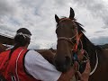 indian relay Saskatoon 2021 Joesph Jackson champion relay rider