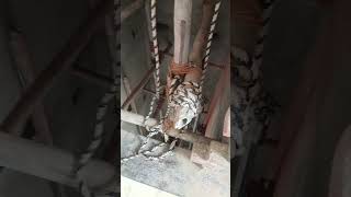 guide rails installation √√√ #lifeisbutadream #travel #elevator
