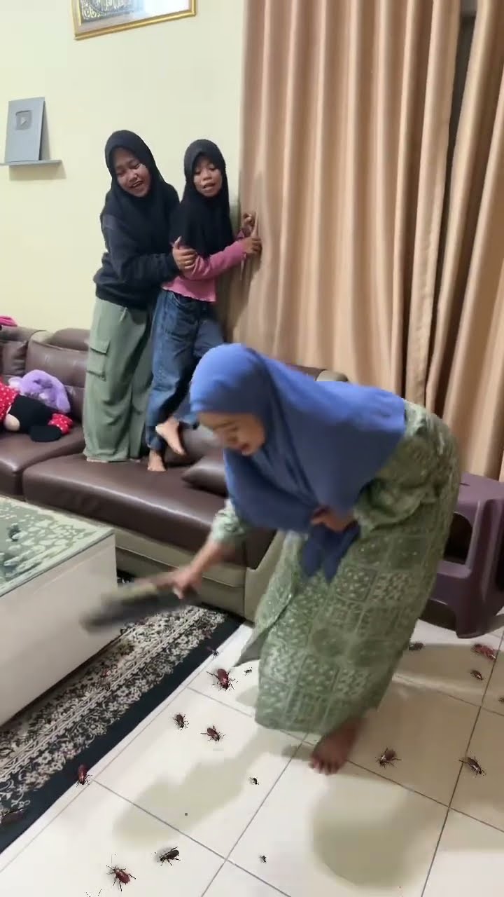 BANYAK BANGET KECOA DIDALEM RUMAH BUNDA DIJAH