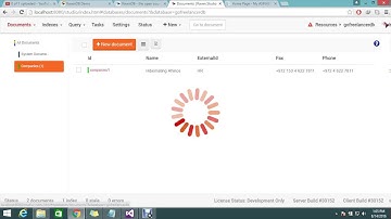 How to setup connection string and intilize Ravendb in ASP.NET MVC