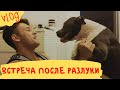 Vlog ❤️ Майра месяц не видела Назара! ❤️ Встреча