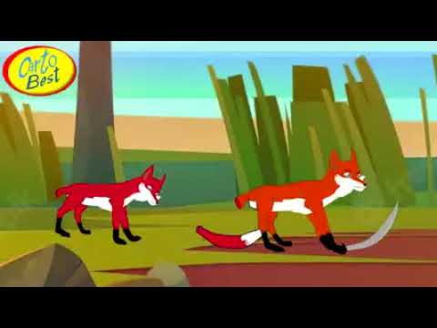 شد حيلك واقطع ذيلك