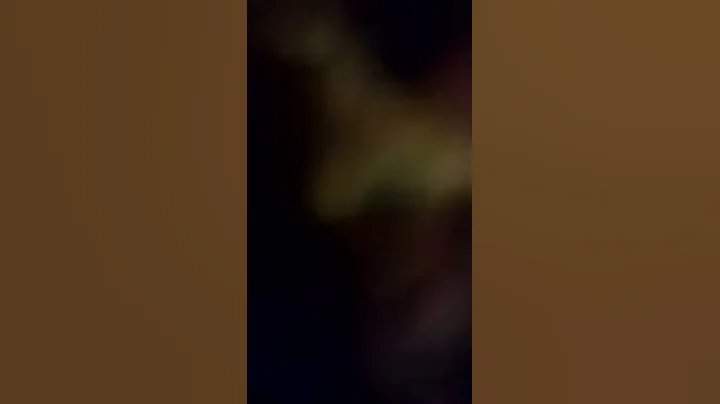 Playing with my dog