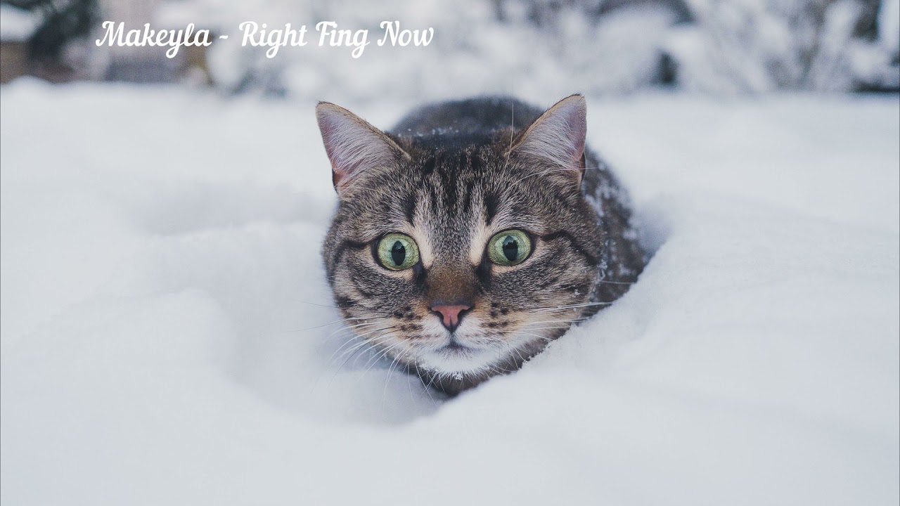 Makeyla - Right Fing Now