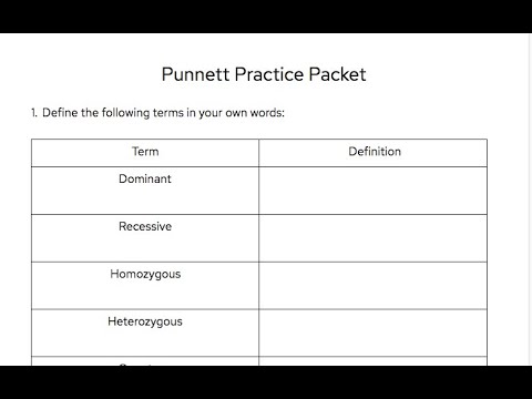 Punnett Square Practice Worksheet Instructions - YouTube