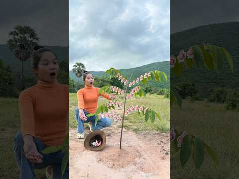 Survival Skills: SIMPLE idea and USEFUL in forest #bushcraft #camping #outdoors