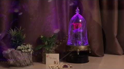 Beauty and the beast Bluetooth speaker on rotation stage