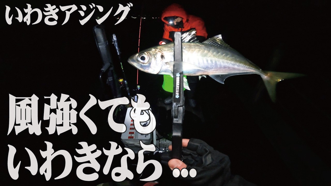 平和な遠征のはずが、強風に雨、、でもいわきは裏切らない【いわきアジング】【福島】【いわき】