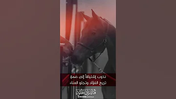 نذوب إشتياقا إلى ضمة بصوت جديد ورائع Zadalkhlod 