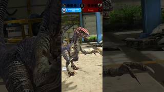 ATROCIRAPTOR Hybrid CLASH - Jurassic World Alive #jurassicworld