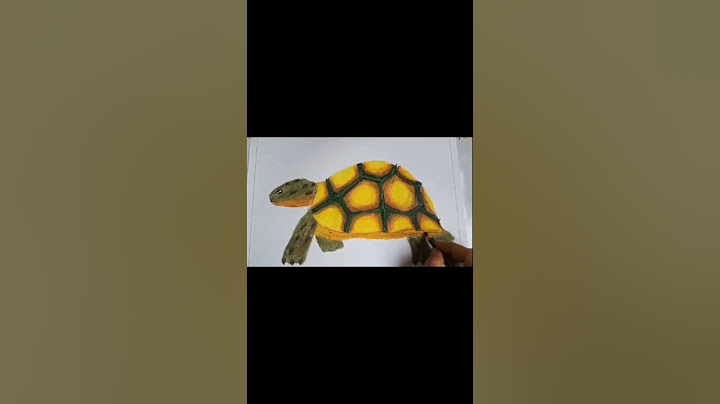turtle #viral #subscribe #shortvideo #shortsvideo #fuminghues #artist #students #art #easydrawings
