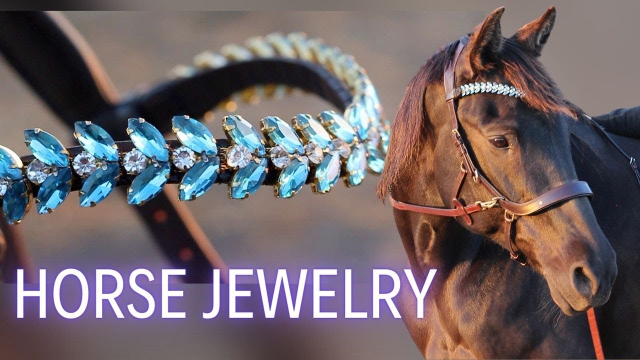 Unboxing Ella's GORGEOUS new bitless bridle