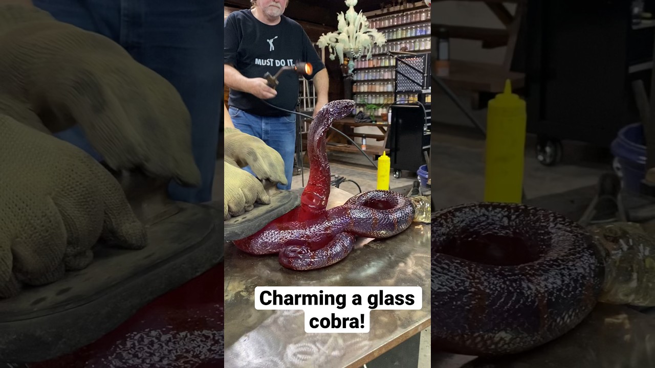 We charmed a glass COBRA! 