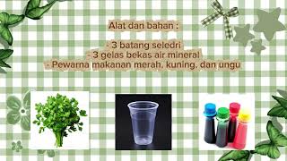 Video Pembelajaran IPAS Fungsi Batang Pada Tumbuhan.  Materi Bagian Tubuh Tumbuhan Beserta Fungsinya