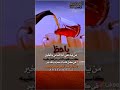 أجمل وروع تصميم حالات عبارات مع نغمة ياحظ من يدعي الة الناس بالخير  كاسب قلوب الناس احكم وروعة دندنها