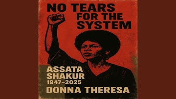 No Tears For The System (For Assata)