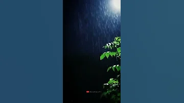 zara zara instrumental _ Rain weather moment_ Shinu_. WhatsApp status video.