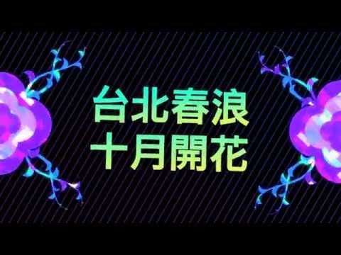 2014台北春浪音樂節宣傳影片(20秒)