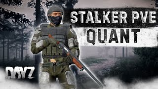 СТРИМ DAYZ 1.25 | STALKER QUANT PVE | ВЕЧЕРНИЙ СТРИМ ПО ПВЕ СТАЛКЕРУ #3