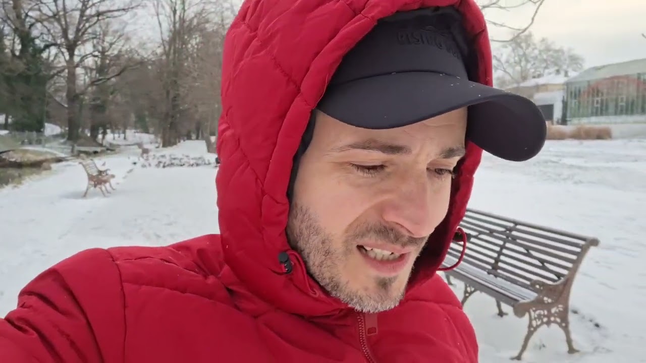 LA ZĂPADĂ DIN NOU....👋😍😍