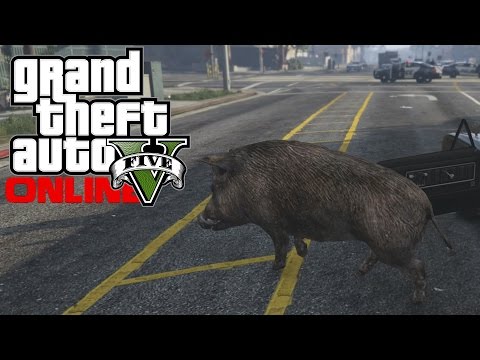 *NEW* GTA 5 - "PLAY AS A PIG" Easter Egg Tutorial Guide Peyote Locations (GTA V Next Gen) - *NEW* GTA 5 - "PLAY AS A PIG" Easter Egg Tutorial Guide Peyote Locations (GTA V Next Gen)