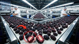 The INSIDE Scoop on America's Most Advanced Boysenberry Factory | Explore High Technology